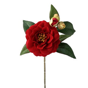 yP10{ 12/31܂ŁIz   o xxbgJAsbN bh  ԍ ޗ p[c coL   xxbg }t Vt nhCh  fR[V a 