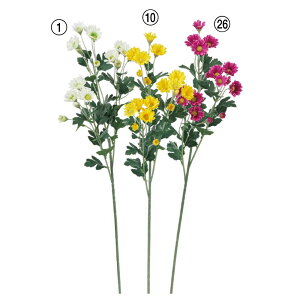   Ƃ悹i e×18 e F   CG[ zCg p[v ԕ    ~ ~ ފ  ݉  AXJ ASCA AXJ