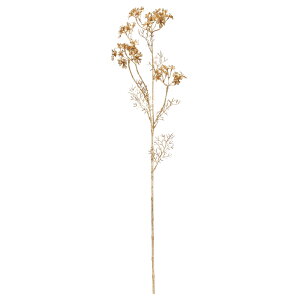 yP10{ 12/31܂ŁIz   Ƃ悹i NC[AY[X×49 mjW ǐlQ [Xt[  VNt[ C~e[V tFCN Vt }t a AXJ ASCA AXJ