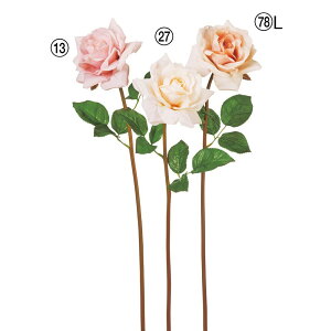  Ƃ悹i [Y o KN  ٍc炫 sN N[ AC{[ x[W IW Vp Of[V v~A t AXJ ASCA AXJ