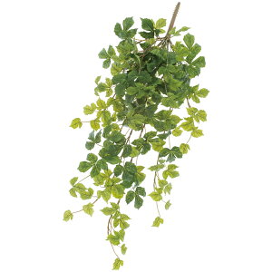  O[ Ƃ悹i VTXoC VK[oC CeA tFCN O[ p[c CeAt[ tFCNt[ VNt[ ԍ Ԏ roH|