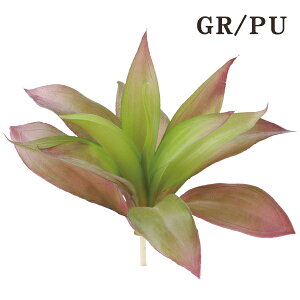 P10{ 10/14 20灚  O[ A Ƃ悹i GPxA GAvc TbJe T{e CeA tFCN O[ p[c CeAt[ tFCNt[ 