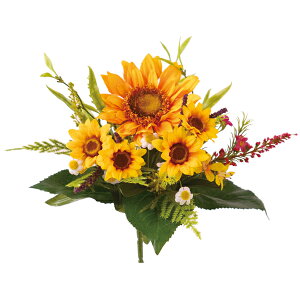 yP10{ 12/31܂ŁIz  Ƃ悹i Tt[~bNXubV q} Ђ܂  ԑ u[P 썑 gsJ CeA CeAt[ tFCNt[ ԍ DIY ro