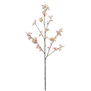 yP10{ z  Ƃ悹i II}UN(L)  `F[ubT CeA CeAt[ tFCNt[ VNt[ CeAO[ tFCNO[ roH|