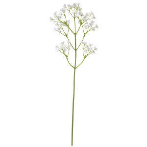 yP10{ 12/31܂ŁIz  Ƃ悹i Wv\sbN ݑ Wv\tB Mv\tB A[eBtBVt[ CeA CeAt[ tFCNt[ VNt[ r