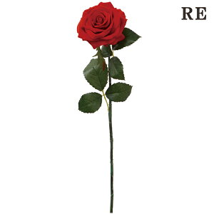  Ƃ悹i xxbg[Y CeA CeAt[ tFCNt[ VNt[ CeAO[ tFCNO[ A[gt[ ԍ t roH|