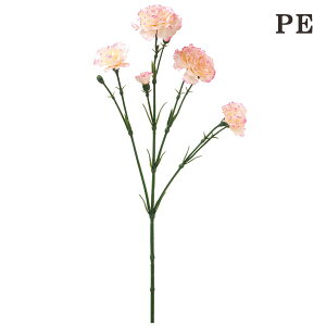  Ƃ悹i J[l[VXv[ ̓ A[eBtBVt[ CeA CeAt[ tFCNt[ VNt[ CeAO[ roH|