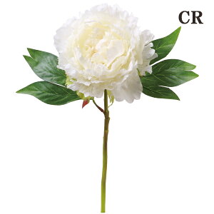 yP10{ z  Ƃ悹i sIj[V[gXe {^ O VNN 䉖 CeA CeAt[ tFCNt[ VNt[ CeAO[ ԍ roH|