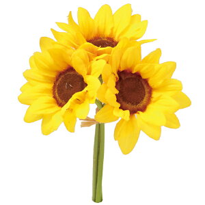  Ƃ悹i Tt[sbNoh Ђ܂ q}  썑 gsJ CeA CeAt[ tFCNt[ VNt[ ԍ roH|