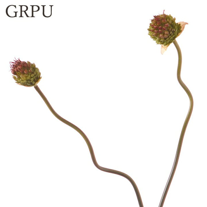 楽天市場 造花 とりよせ品 Viva タンチョウアリウムx2インテリア インテリアフラワー フェイクフラワー シルクフラワー インテリアグリーン フェイクグリーン アートフラワー イミテーション 花材 素材 造花ドライフラワー専門問屋花びし