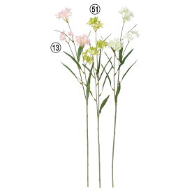 楽天市場 ブバルディア 花 観葉植物 花 ガーデン Diy の通販