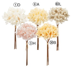 yP10{ }\z  Ƃ悹i nChWAo`(15{) AWTC  z  zCg sN x[W CeA CeAt[ ԍ Ԏ AXJ ASCA 