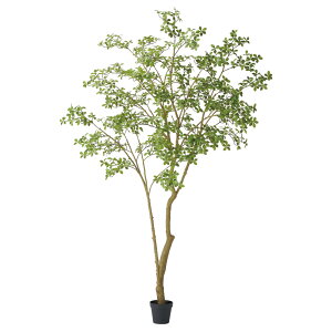 yP10{ }\z tFCNO[ ϗtA y[J[iz }_KXJA[hc[(|bgt) 280cmsρEiƓst 2.8m  ^ AXJ ASCA A