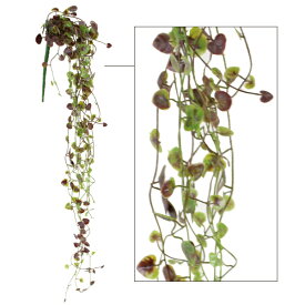 楽天市場 ハートカズラの通販