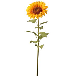 ���� �Ƃ�悹�i �W�����{�T���t�����[ 1.2m �傫�� 30cm 120cm �Ђ܂�� �q�}���� ������ �f�B�X�v���C �썑 �g���s�J�� �C���e���A �C���e���A�t�����[ �ԍ� �f�� �r�o�H�|