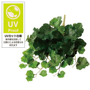 yP10{ 12/31܂ŁIz  O[ Ƃ悹i [jEoCUVJbg CeA tFCN O[ p[c CeAt[ tFCNt[ VNt[ tFCNO[ r