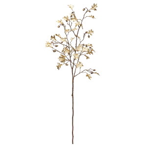 yP10{ z NX}X   Ƃ悹i hO ؂̎ cI ǂ񂮂 Hq ނ傭 co~  zE\ nn\ F  I[ig G  AXJ ASCA AXJ