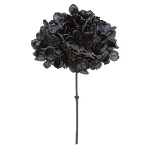  Ƃ悹i nChWAsbN z AWTC CeA CeAt[ tFCNt[ VNt[ CeAO[ ԍ AXJ ASCA AXJ