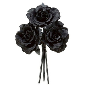 yP10{ }\z  Ƃ悹i [Y (13{) CeA CeAt[ tFCNt[ VNt[ CeAO[ tFCNO[ ԍ t AXJ ASCA 