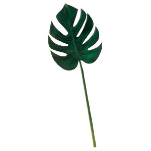 yP10{ 12/31܂ŁIz  O[ Ƃ悹i Xe(S) ϗt 썑 gsJ 傫 CeA tFCN O[ p[c CeAt[ tFCNt[ AXJ ASCA AXJ