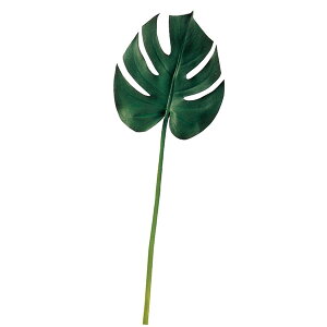造花 グリーン とりよせ品 モンステラ(L) 観葉 南国 トロピカル 大きい インテリア フェイク グリーン パーツ インテリアフラワー フェイクフラワー アスカ ASCA アスカ商会