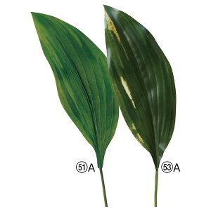 yP10{ 12/31܂ŁIz  O[ Ƃ悹i zX^[t(M{EV) CeA tFCN O[ p[c CeAt[ tFCNt[ VNt[ ԍ AXJ ASCA AXJ