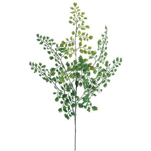 yP10{ 12/31܂ŁIz  O[ Ƃ悹i AWA^ CeA tFCN O[ p[c CeAt[ tFCNt[ VNt[ A[gt[ AXJ ASCA AXJ