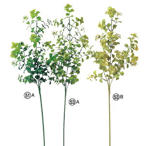  O[  Ƃ悹i {bNXEbhx[Xv[ CeA tFCN O[ p[c AWg CeAt[ ԍ Ԏ AXJ ASCA AXJ