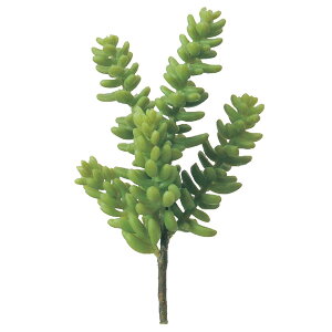  O[ A Ƃ悹i TbJe CeA tFCN O[ p[c AWg CeAt[ tFCNt[ t AXJ ASCA AXJ