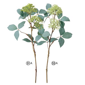  O[ Ƃ悹i VL~A CeA tFCN O[ p[c CeAt[ tFCNt[ VNt[ tFCNO[ AXJ ASCA AXJ