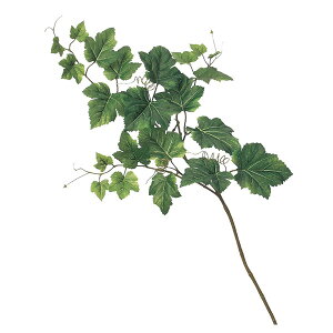 yP10{ 12/31܂ŁIz  O[ Ƃ悹i O[v[tXv[ CeA tFCN O[ p[c CeAt[ tFCNt[ VNt[ ԍ AXJ ASCA AXJ