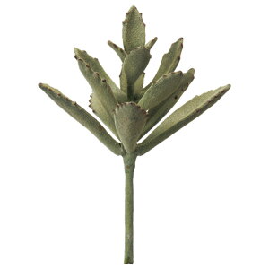  O[ A Ƃ悹i TbJe CeA tFCN O[ p[c AWg CeAt[ tFCNt[ t AXJ ASCA AXJ