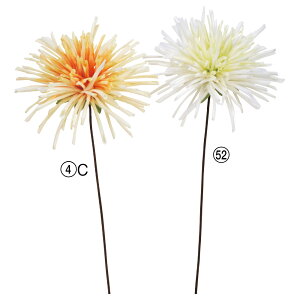 yP10{ 12/31܂ŁIz   Ƃ悹i }sbN LN e a } CeA CeAt[ tFCNt[ VNt[ CeAO[ ԍ f AXJ ASCA AXJ