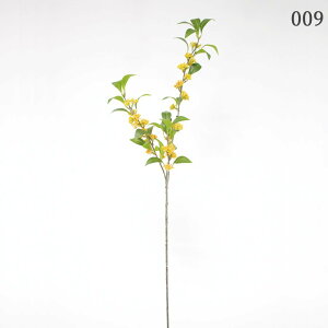 yP10{ 12/31܂ŁIz  Ƃ悹i LNZC ؍ NZCJ ؍҉ j Oj F A[eBtBVt[ CeA CeAt[ tFCNt[ VNt