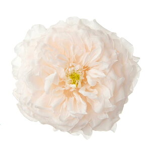 yP10{ z vU[uht[ ԍ Ƃ悹i Y [Y I[tH[L[g (3֓) ԍ f ޗ p[c hCt[ vU[uh o KN zCg ԑ n_