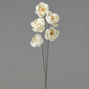 yP10{ 12/31܂ŁIz nhCht[ ԍ Ƃ悹i \[[sIj[ ԍ f ޗ p[c \t[ nhCht[  zCg sIj[ 䉖 O XbO 