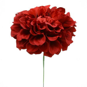 yP10{ z  Ƃ悹i _AsbN bh VO Ă񂶂ڂ eWN{^ CeA CeAt[ tFCNt[ VNt[ CeAO[ p