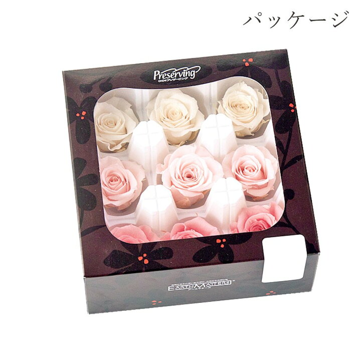 楽天市場】【ポイント5倍中 1/29 09:59迄】 プリザーブドフラワー 花材 