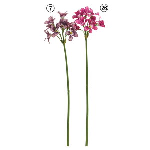  Ƃ悹i RX×9 ފ݉ qKoi ֎썹 }WVQ CeA CeAt[ tFCNt[ VNt[ ԍ t AXJ ASCA AXJ