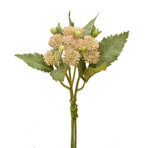 yP10{ 12/31܂ŁIz  O[  Ƃ悹i Z_r[Y[toh(3{) sNO[ CeA tFCN O[ p[c AWg CeAt[ ԍ t 