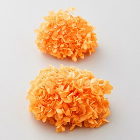 プリザーブドフラワー 花材 即日出荷 ピラミッドアジサイ・ヘッド フルーティオレンジ 花材 素材 材料 パーツ アジサイ あじさい 紫陽花 花びら オレンジ 橙 レジン封入 アロマワックスサシェ ハーバリウム プリザーブドフラワー スワッグ 花束 大地農園