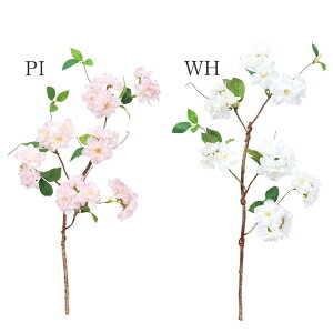  Ƃ悹i GUNu`  TN } d `F[ubT CeA CeAt[ tFCNt[ VNt[ tFCNO[ roH|