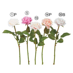 yP10{ 12/31܂ŁIz  Ƃ悹i [Y o KN  [bg炫  sN CeA CeAt[ tFCNt[ VNt[ tFCNO[ AXJ ASCA AXJ