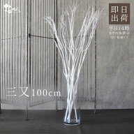 ドライフラワー 花材 即日出荷 三又(100cm) 白 枝 三又 ドライフラワー プリザーブドフラワー スワッグ …