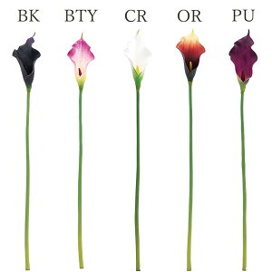  Ƃ悹i J[[ J[ J[B   ubN sN IW p[v  A[eBtBVt[  CeA CeAt[ roH|