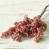【40％OFF】 ドライフラワー 花材 即日出荷 ペッパーベリー ナチュラルピンク ※多少実が取れている場合…