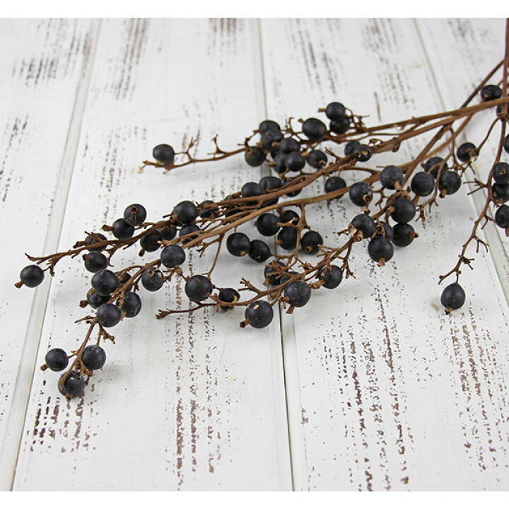 楽天市場】【P10倍 】 ドライフラワー 花材 即日出荷 ブラックベリー  