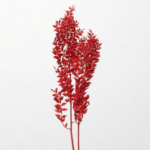 vU[uht[ ԍ Ƃ悹i XJXEvU[uh ԍ f ޗ p[c hCt[ t [t  bh  NX}X XbO u[P ԑ n_