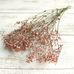 yP10{ z vU[uht[ ԍ o AeB[NvUEJX~ sN  JX~ JX~ ݑ vU[uht[ XbO u[P ԑ [X n_