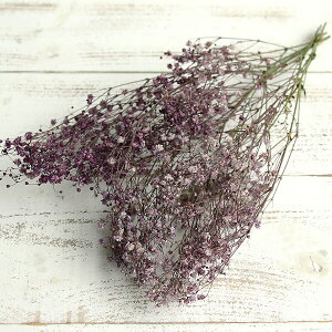 yP10{ z vU[uht[ ԍ o AeB[NvUEJX~ CbN  JX~ JX~ ݑ vU[uht[ XbO u[P ԑ ԍ n_